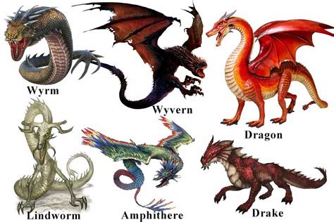 wyrm pronunciation|how do you say wyvern.